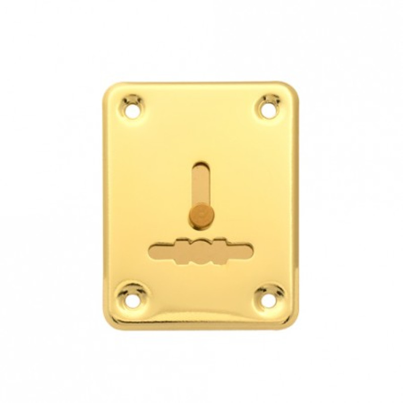 Dekoratīva uzlika zirnekļa slēdzenēm APECS DP-01-G komplekts