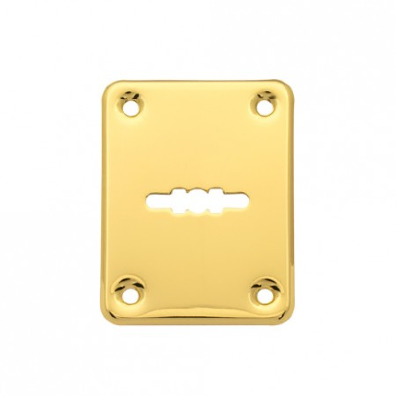 Dekoratīva uzlika zirnekļa slēdzenēm APECS DP-01-G komplekts