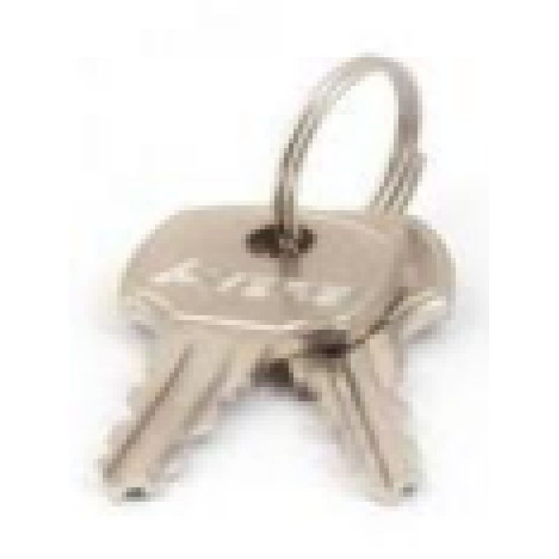 CAM-01/16 (A)-NI Pasta slēdzene, atslēgas 2gb