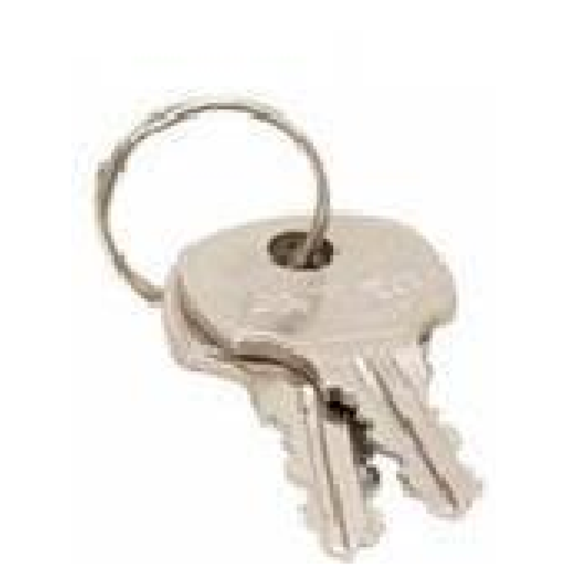 CAM-01/20 (A)-NI Pasta slēdzene, atslēgas 2gb 