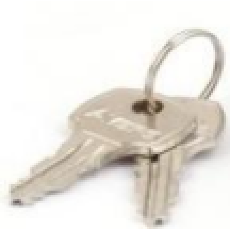 CAM-01/25 (A)-NI Pasta slēdzene, atslēgas 2gb 