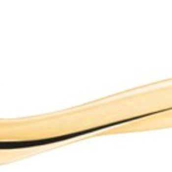 0579Z-GM/G Durvju rokturis matēts zelts/zeltains